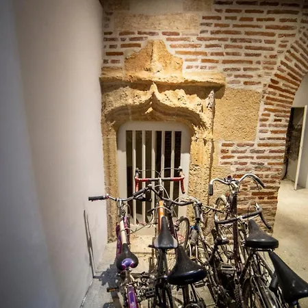 شقة Coeur D'albi *