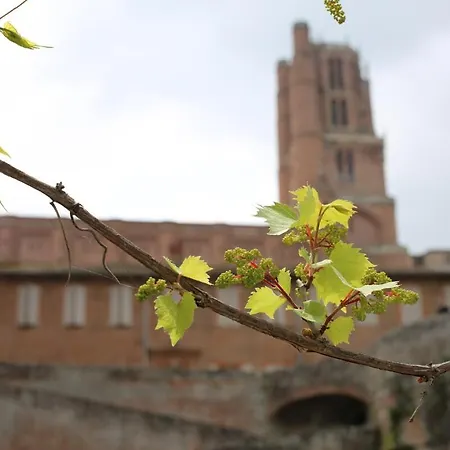 شقة Coeur D'albi