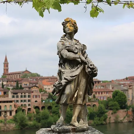 Coeur D'albi Appartement