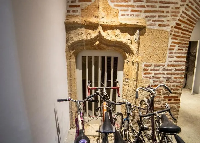 Apartment Coeur D'albi *